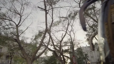 BRANCHES AND TREES IN MOVING CAR Video stock 72470882