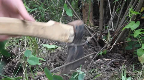 Branches are cut down with an ax 7 Stock Footage 24730719