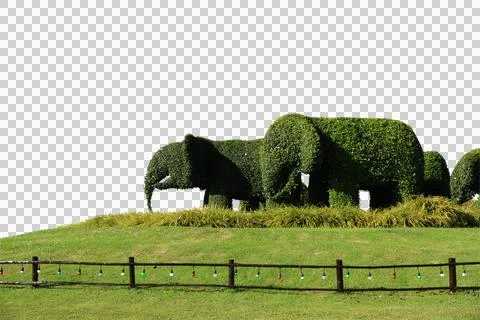 The branches are cut in the shape of an elephant that decorate at the park is Stock Photos