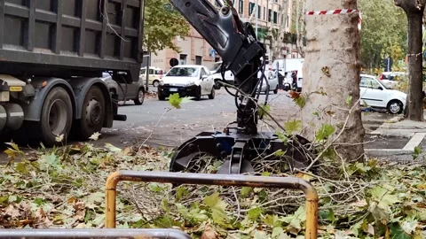 Branches are loaded onto a truck using a crane, cleaning city streets Stock Footage 229542614