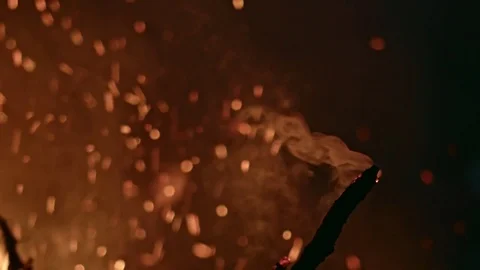 Branches are thrown into campfire, close up Stock Footage 80755145