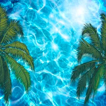 Branches on a background of water Stock Illustration