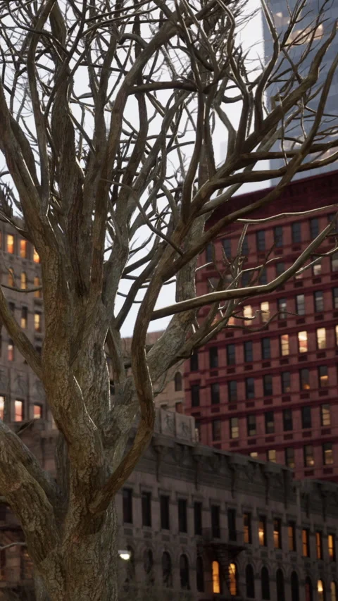 Branches of a bare tree stand in front of a tall city building during twilight Stock Footage 338424150