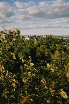 Branches with berries frame panoramic view of Krakow, Poland, highlighting the Stock-Fotos