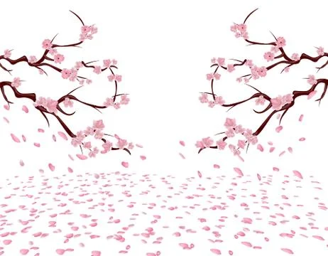 The branches of a blooming pink cherry on both sides of the picture. Sakura.. Stock Illustration