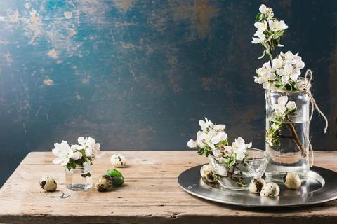 Branches of a blossoming apple tree and quail eggs. Stock Photos