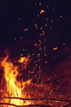 Branches on bonfire Stock Photos