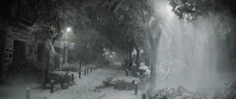 Branches braking from snow in a street devastated by the snowstorm Video stock 148388911