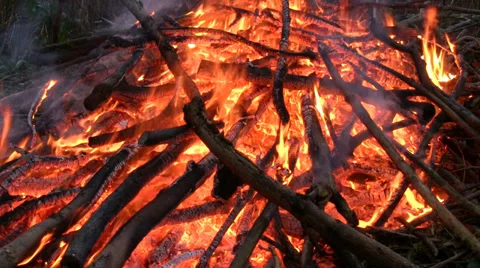 Branches burning on a bonfire Stock-Footage 33796248