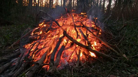 Branches burning on a bonfire Stock-Footage 33796816