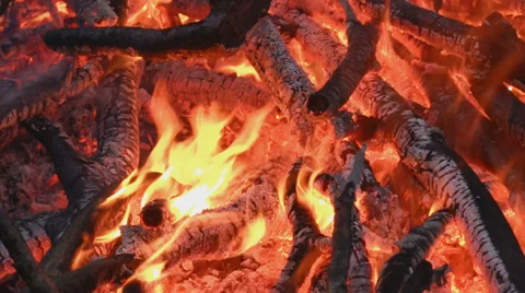 Branches burning on a bonfire Stock-Footage 33797514