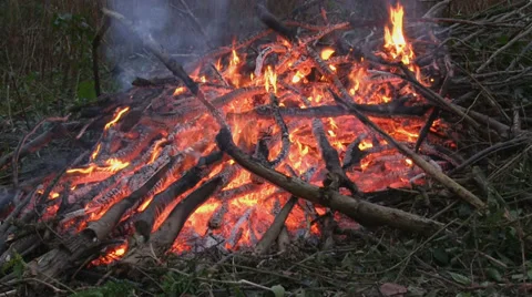 Branches burning on a bonfire Stock-Footage 33798052