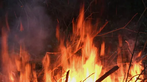 Branches burning on a bonfire Video stock 33799048