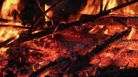 Branches burning on a bonfire Stock-Footage 33801141