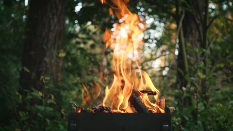 The Branches Burning In The Braizer. Stock Footage 94607044