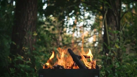 The Branches Burning In The Braizer. Slow Motion. Stock Footage 94609842