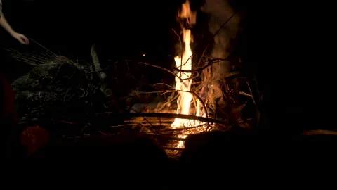 Branches burning in a small campfire during the night. Tropical campfire 스톡 동영상 132079960