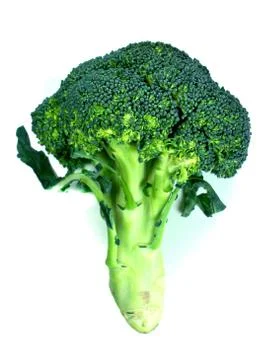 Branches of cabbage of a broccoli Stock Photos