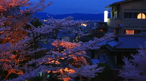 The branches of cherry blossoms against a background of the evening Kyoto. Stock Footage 48899649
