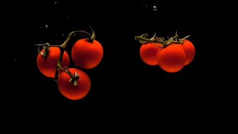 Branches of cherry tomato are falling into transparent water on black background Stock Footage 118127150