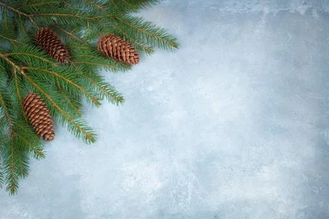 Branches of a Christmas tree with cones on the blue concrete background Stock Photos