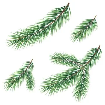 Branches of a christmas tree Stock Illustration