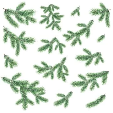 Branches of a Christmas tree Stock Illustration