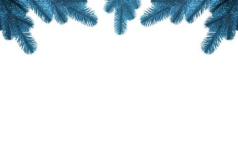 Branches of a Christmas tree on a white background. The basis for the postcard. Stock Photos