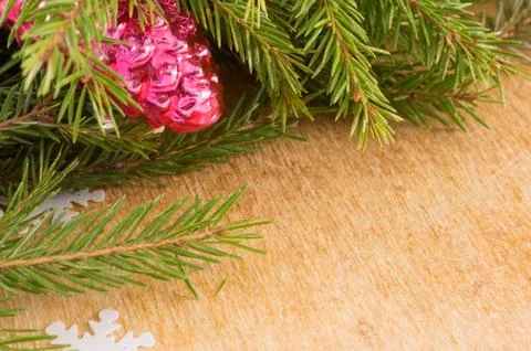 The branches of Christmas trees and  fallal cone decorations Stock Photos