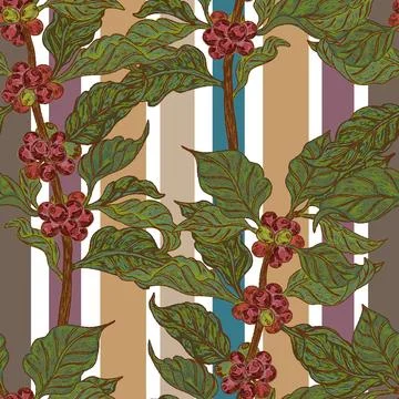 Branches with coffee beans. Seamless pattern. This vintage illustration is ha Stock Illustration