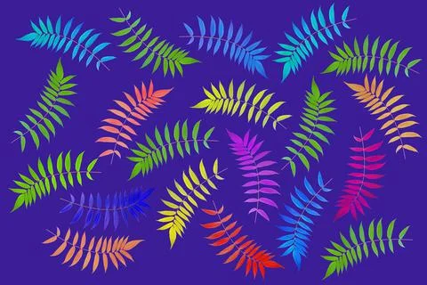 Branches with colored leaves on a dark background. vegetation and botany. fla Stock Photos