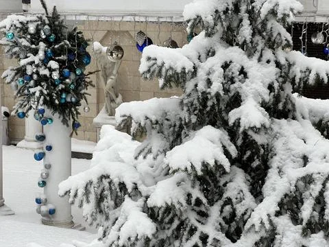 Branches covered with a layer of snow. The park area. Fotos de archivo