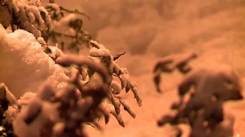 Branches covered with snow during the night 24 Stock Footage 10734963