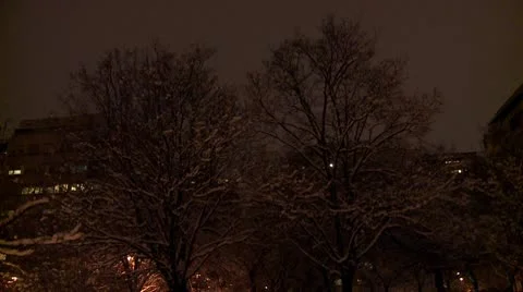 Branches covered with snow during the night 20 Stock Footage 10735006