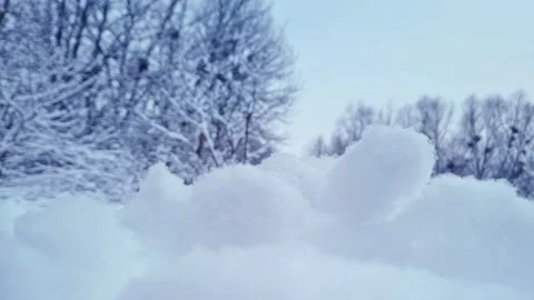 Branches covered with snow. Trees after snowfall. Falling snowflakes slow motion Stock Footage 227009434