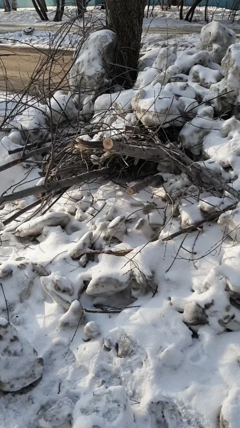 Branches cut down from trees and covered with snow lie near a multi-storey build Stock Footage 303925079