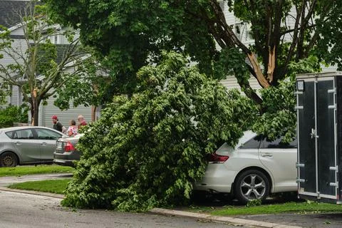 Branches fallen on car after derecho thunderstorm Stock Photos