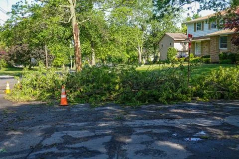 Branches that fell from trees during a storm are seen piled on a street Stock Photos
