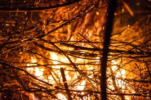 Branches in the fire Stock Photos