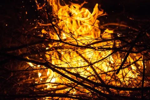 Branches in the fire Foto stock