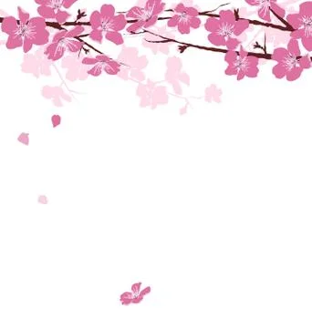 Branches with flowers isolated on white Stock Illustration