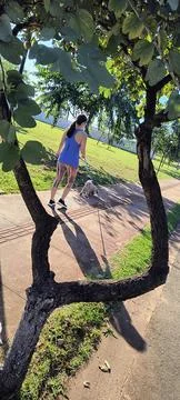 Branches framing the sidewalk Foto stock