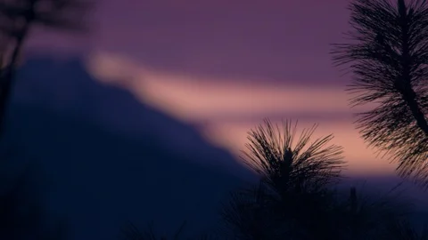 Branches in front of a Mountain During Sunset Stock Footage 90671415
