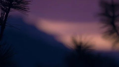 Branches in front of a Mountain During Sunset Stock Footage 90671544
