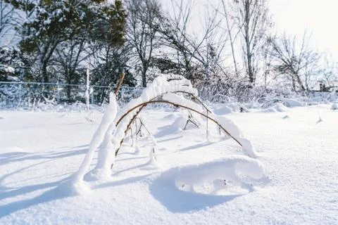 Branches is full of snow Stock Photos