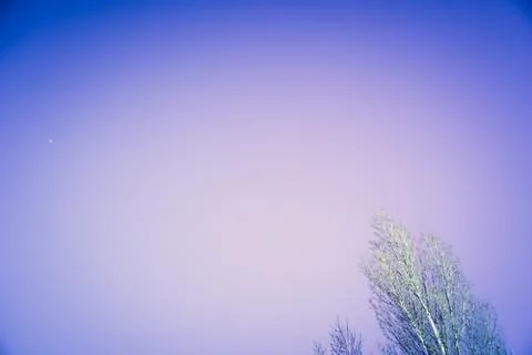 Branches is full of snow Stock Photos