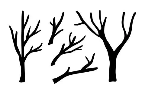 Branches hand drawn set. Branch Ink illustration. Design element. Stock Illustration