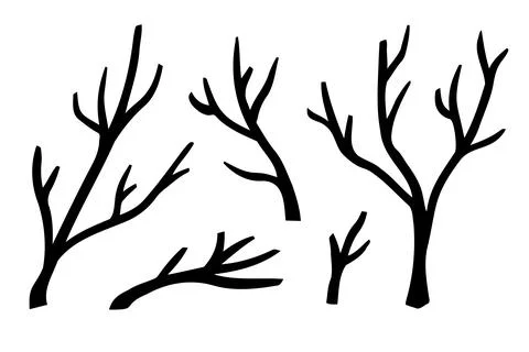 Branches hand drawn set. Branch Ink illustration. Design element. Stock Illustration