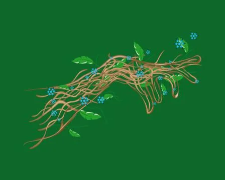 Branches hand Stock Illustration