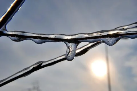 Branches in the ice Stock Photos